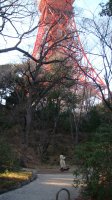 DSC00315.JPG
